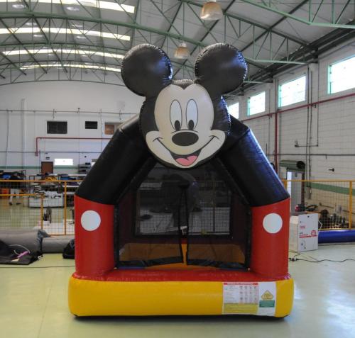 piscina do Mickey